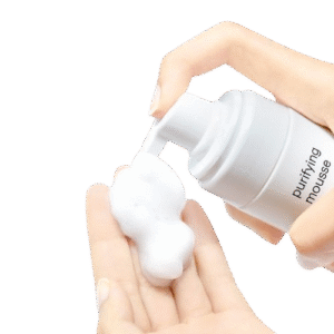 Purifying Mousse Facial Foam Cleanser